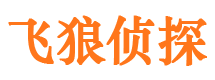 新河市婚姻调查